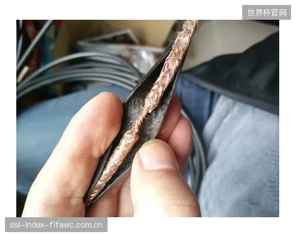 设计院的供电方案与施工方的现场操作严重脱节,这种沟通断裂正在为体育馆埋下最直接的安全隐患 设计院的供电方案与施工方的现场操作严重脱节,这种沟通断裂正在为体育馆埋下最直接的安全隐患