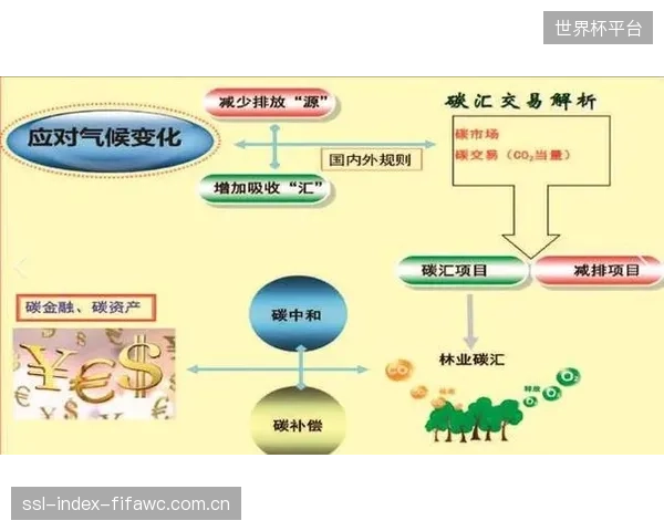 当体育公园的碳减排量可被核证并交易,其金融属性将超越目前的发电收益 当体育公园的碳减排量可被核证并交易,其金融属性将超越目前的发电收益